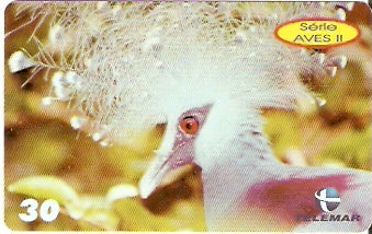 PE-882 - Aves 2 - 07/10