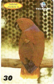 PE-880 - Aves 2 - 05/10
