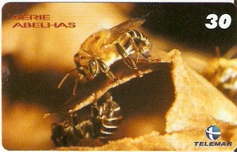 PE-884 - Abelhas - 1/4