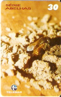 PE-886 - Abelhas - 3/4
