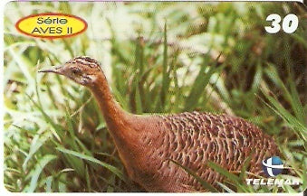 PE-931 - Aves 2 - 10/10