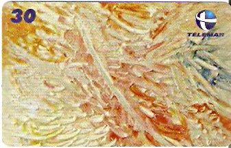 CE-639 - Plumagem de Cores