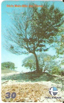 CE-677 - Ipê Roxo