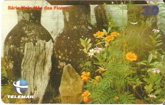 CE-678 - Jardim