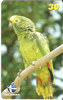 CE-694 - Papagaio