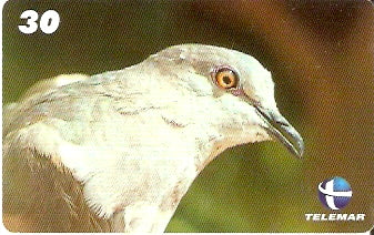 CE-696 - Juriti