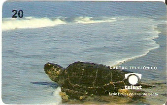 ES-031 - Praia de Regência
