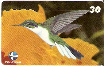 ES-053 - Beija-flores 1 - 2/4