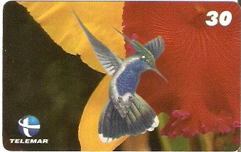 ES-054 - Beija-flores 1 - 3/4