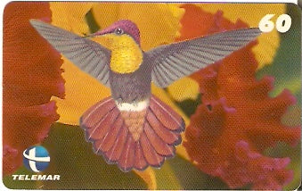 ES-055 - Beija-flores 1 - 4/4