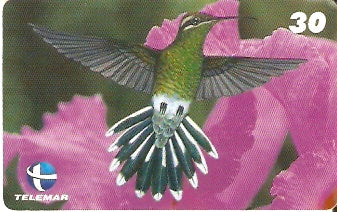 ES-056 - Beija-flores 2 - 1/4