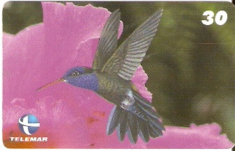 ES-057 - Beija-flores 2 - 2/4