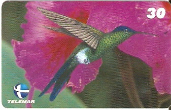 ES-058 - Beija-flores 2 - 3/4