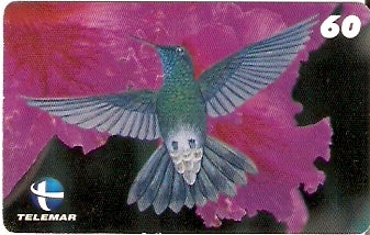 ES-059 - Beija-flores 2 - 4/4