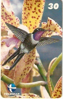 ES-071 - Beija-flores 3 - 1/4