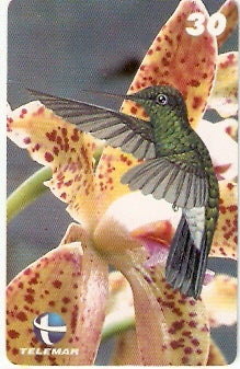 ES-072 - Beija-flores 3 - 2/4