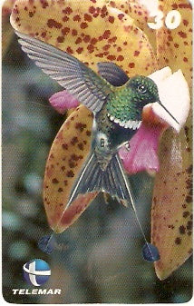 ES-073 - Beija-flores 3 - 3/4