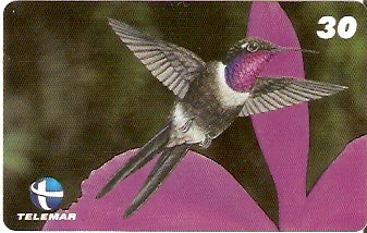 ES-075 - Beija-flores 4 - 1/4