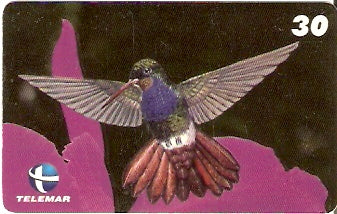 ES-076 - Beija-flores 4 - 2/4