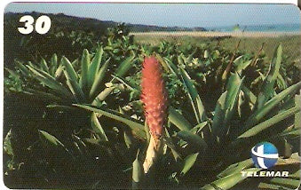 ES-087 - Parque Paulo C Vinha