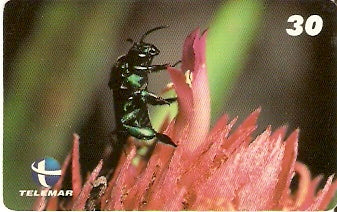 ES-100 - Fauna - 02/20