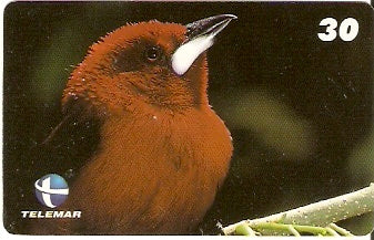 ES-102 - Fauna - 04/20