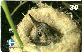 ES-104 - Fauna - 06/20