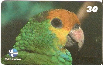 ES-106 - Fauna - 08/20