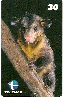 ES-110 - Fauna - 12/20