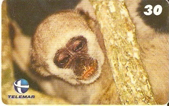 ES-109 - Fauna - 11/20