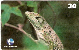 ES-114 - Fauna - 16/20