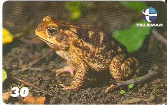 ES-116 - Fauna - 18/20