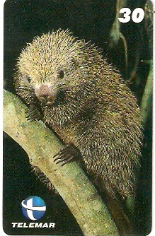 ES-112 - Fauna - 14/20