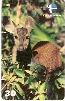 ES-117 - Fauna - 19/20