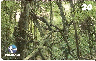 ES-133 - Paisagismo - 15/20