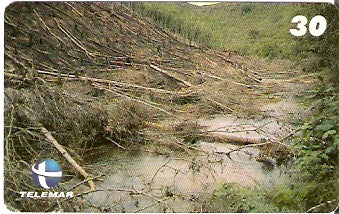 ES-135 - Paisagismo - 17/20