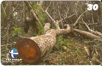 ES-137 - Paisagismo - 19/20