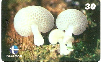 ES-139 - Fungos - 01/10