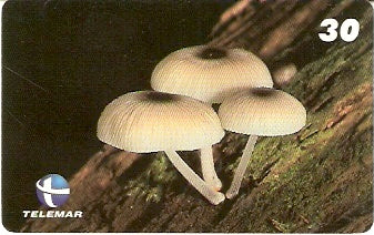 ES-140 - Fungos - 02/10