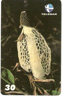 ES-146 - Fungos - 08/10