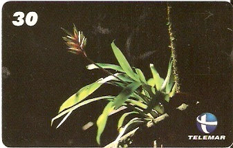 ES-151 - Flora - 03/10