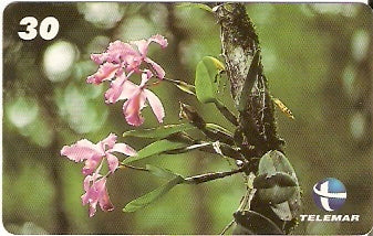 ES-156 - Flora - 06/10