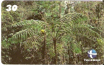 ES-158 - Flora - 08/10