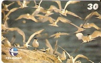 ES-211 - Aves Marinhas - 1/5