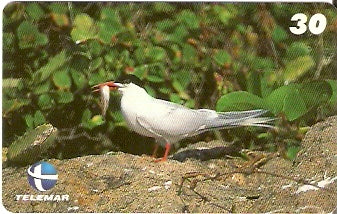 ES-212 - Aves Marinhas - 2/5