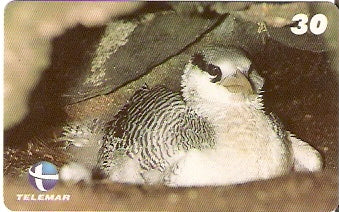 ES-213 - Aves Marinhas - 3/5