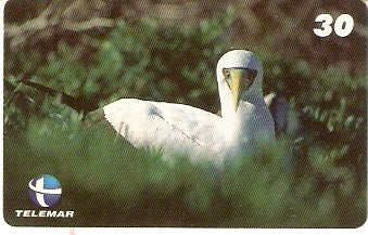 ES-214 - Aves Marinhas - 4/5