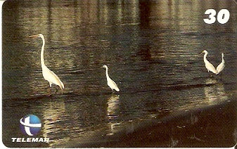 ES-215 - Aves Marinhas - 5/5