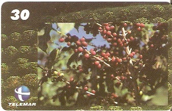 ES-248 - Cafeicultura - 1/4