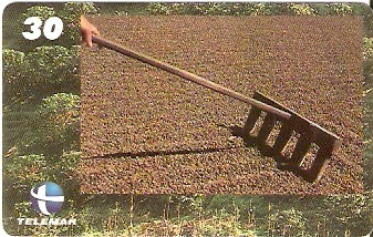 ES-250 - Cafeicultura - 3/4